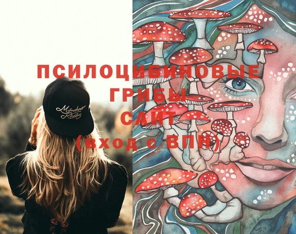 марки nbome Абаза